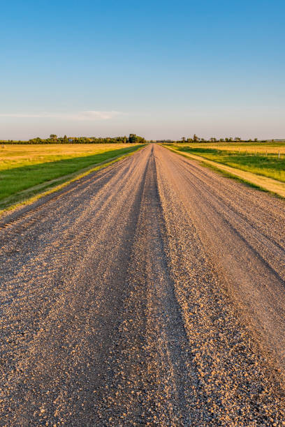 istock Sunset over a gravel road between fields on the Saskatchewan prairies- focus on foreground 1474935445