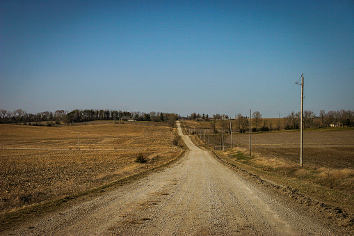 A country scene, gravel road with pre-planting season fields, lined with telephone poles and farm houses