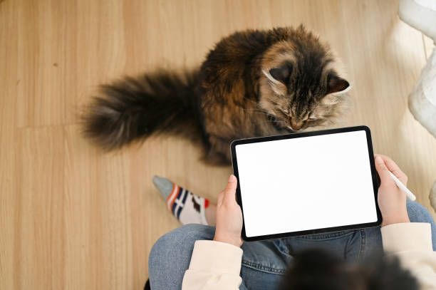 istock Top view of an Asian female using her digital tablet while her cat sitting in front of her. 1474940949