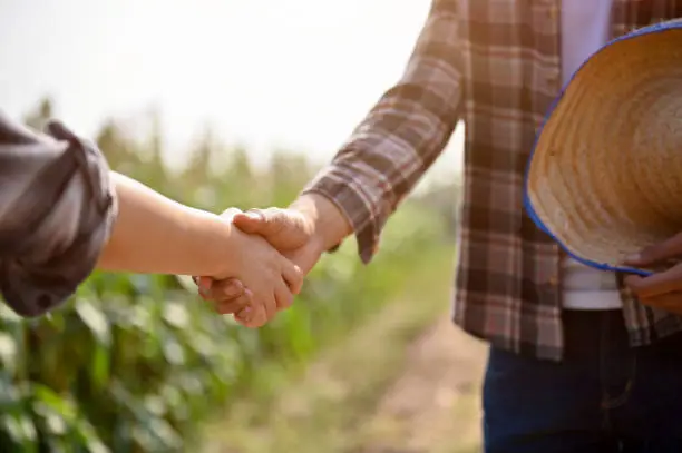 Photo of Close up view of farmers checking hands and making a deal with female, reaching agreement deal