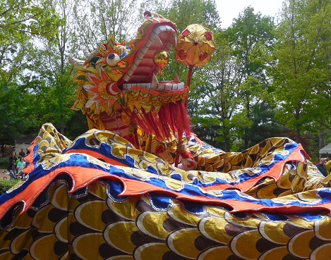 Chinese dragon on parade at Chinese celebration in St Louis