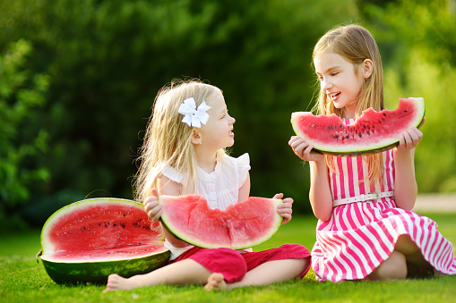 Two funny little sisters eating watermelon outdoors on warm and sunny summer day. Healthy organic food for little kids.