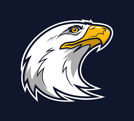 Stylized head of bald eagle, hawk or falcon - vector icon or logo with shadows and highlights