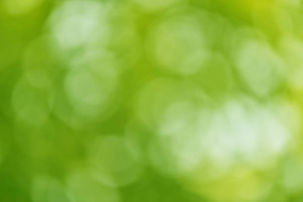 abstract blur green color for background, blurred and defocused effect spring concept for design. Green bokeh on nature defocus art abstract blur background