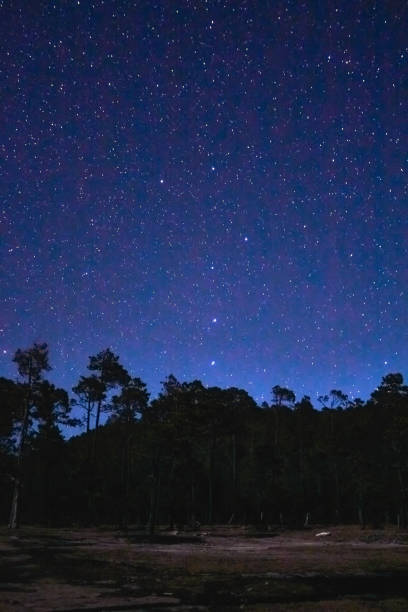 istock Ursa Minor constellation in a night forest in Mexiquillo Durango 1474949781