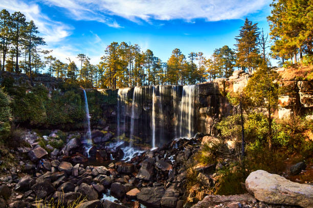 Waterfall in sunny day, Mexiquillo Durango in the Sierra Madre Occidental Cascada con rocas en el fondo rodeada por un bosque, día soleado y cielo azul con nubes en la sierra madre occidental en mexiquillo Durango natural landmark stock pictures, royalty-free photos & images