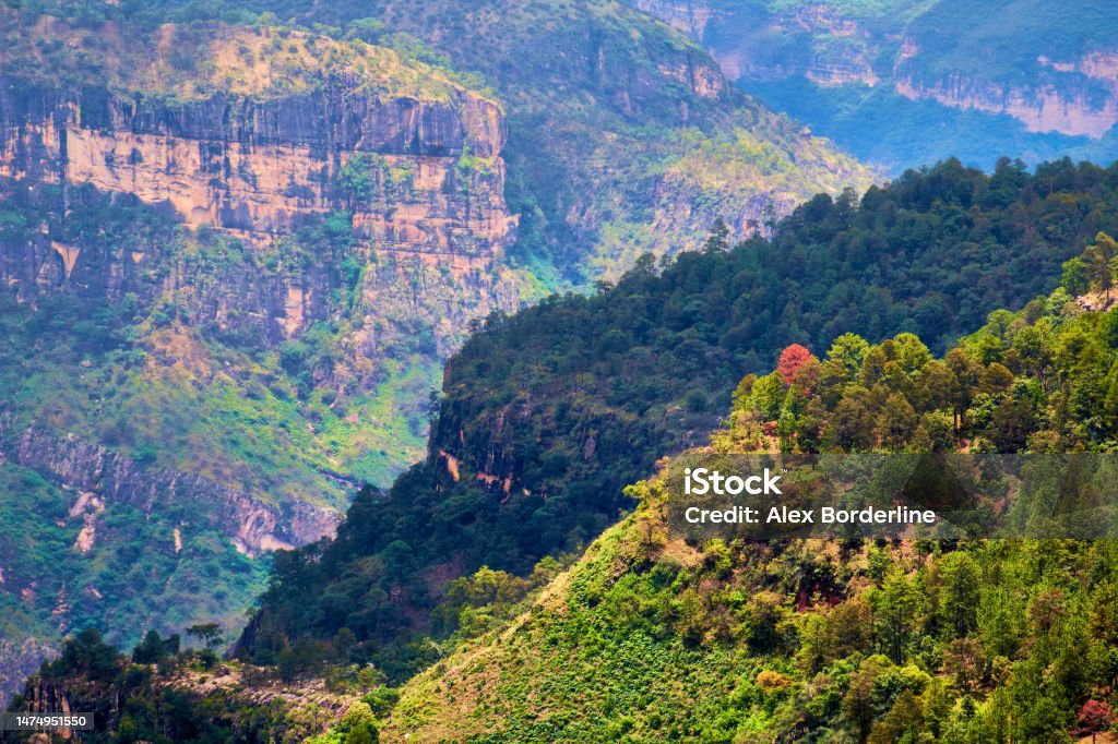 Valley type canyon with an orange tree, Sierra Madre Occidental in Mexiquillo Durango Cañon tipo valle, montañas y barrancos, bosque de coníferas con pinos verdes y un solo arbol anaranjado, sierra madre occidental en mexiquillo Durango Animal Markings Stock Photo