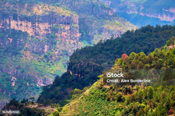 Valley Type Canyon With An Orange Tree Sierra Madre Occidental In Mexiquillo Durango Stock Photo - Download Image Now