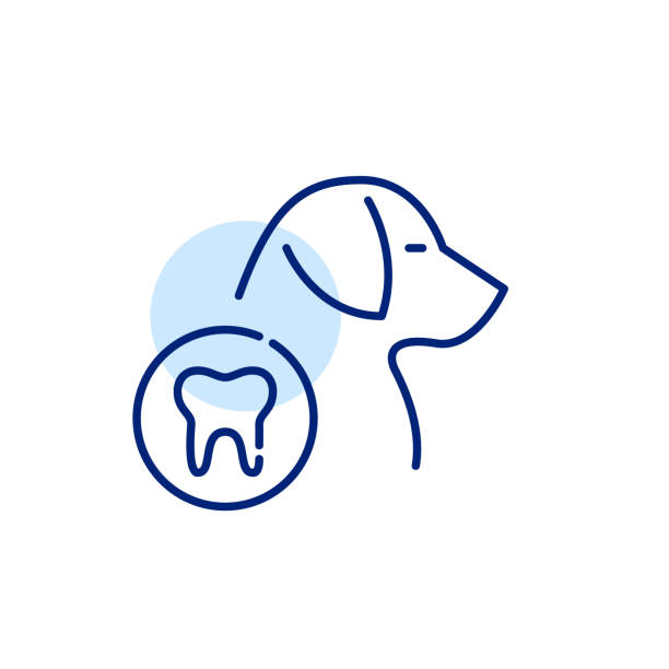 개 치과 의사. 픽셀 완벽, 편집 가능한 획 선 아이콘 - vet symbol dentist healthcare and medicine stock illustrations