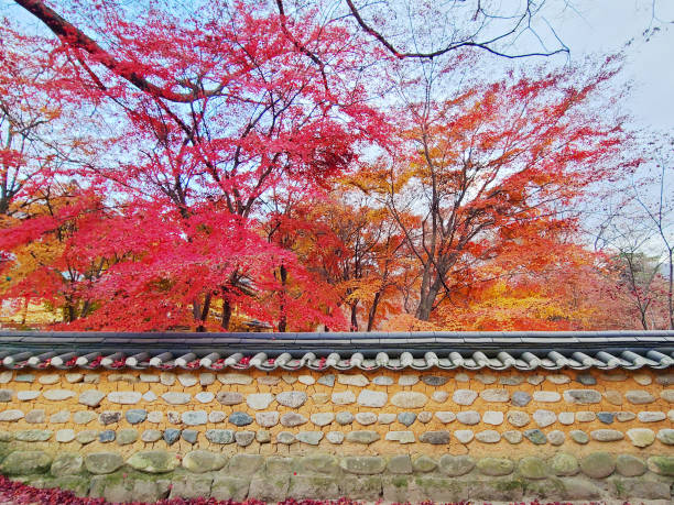 Autumn leaves over traditional tiles and fences stock photo
