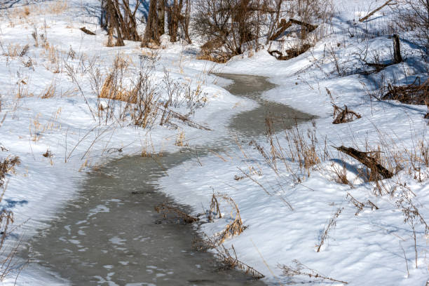 istock Forest frozen stream covered with snow and ice. Spring sketch. 1474953478
