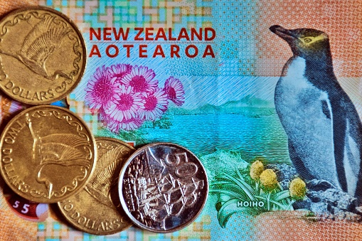 A close-up of the native Yellow-eyed penguin bird on the back of a New Zealand $5 dollar note with coins.