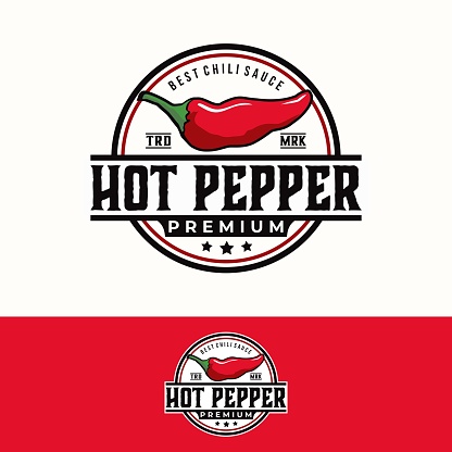 chili spicy vector template. spice sauce pepper graphic illustration in retro vintage style.