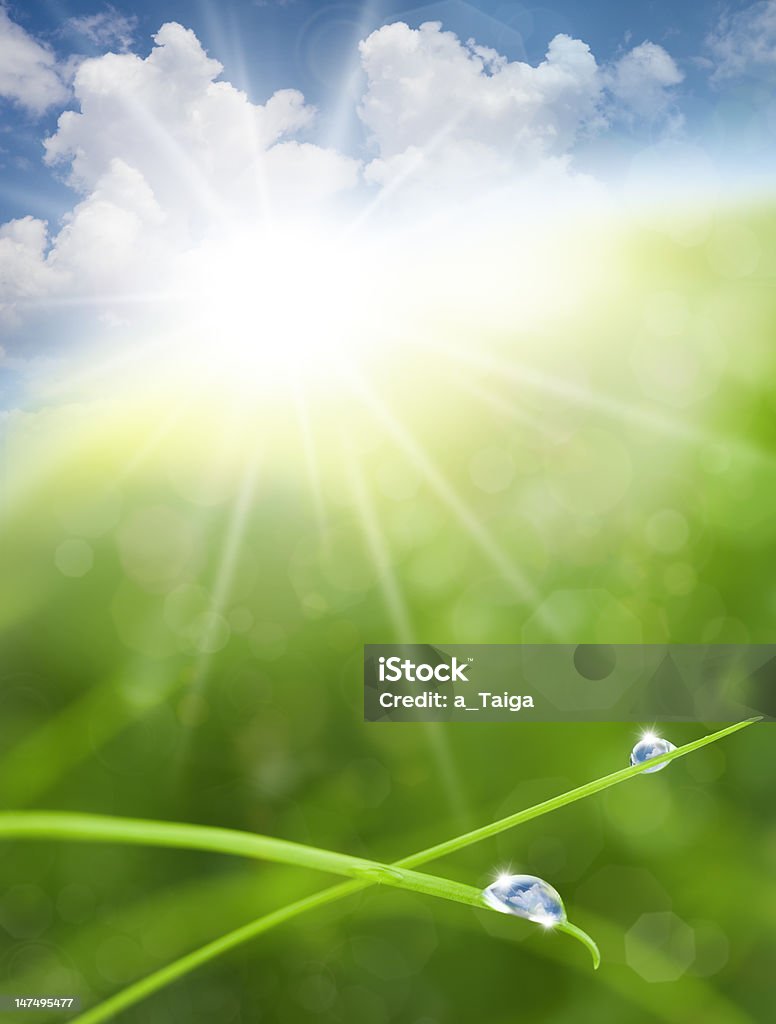 Eco Nature Background mit Gras, Sonne und blauen Himmel Reflexionen - Lizenzfrei Abstrakt Stock-Foto