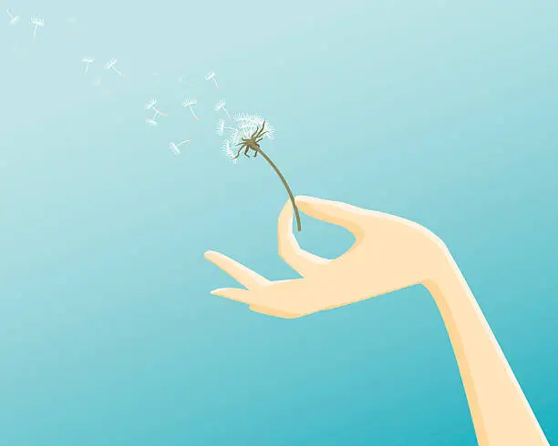 Vector illustration of Hand Holding Dried Dandelion