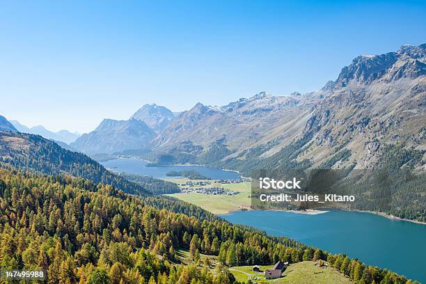 Photo libre de droit de Panorama De Montagne Suisse banque d'images et plus d'images libres de droit de Alpes de l'Engadine - Alpes de l'Engadine, Alpes européennes, Arbre