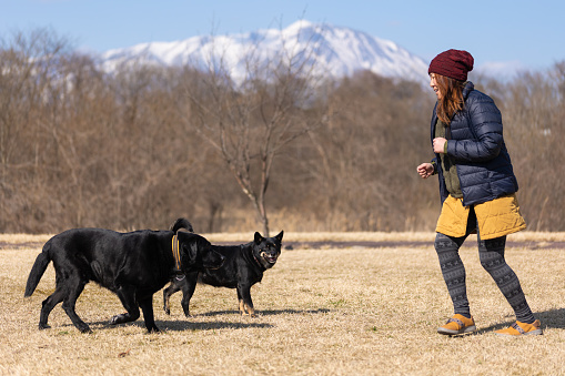 A mid age Japanese woman running with her dogs in a public park.