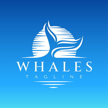 Luxury illustrative whale fin on sunset logo design. Elegance line art orca logo.