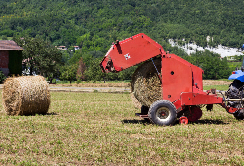 Working machine for bales of hay