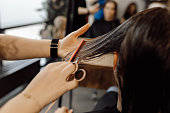 Cropped photo of woman beautician making hairstyle brush long wet hair with pink comb, holding scissors in beauty salon.