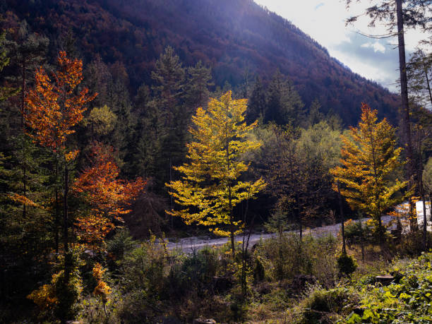 istock Autumn nature in Slovenia. 1474967506