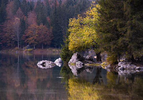 Lake in Slovenia during autumn season. Photographed in medium format.