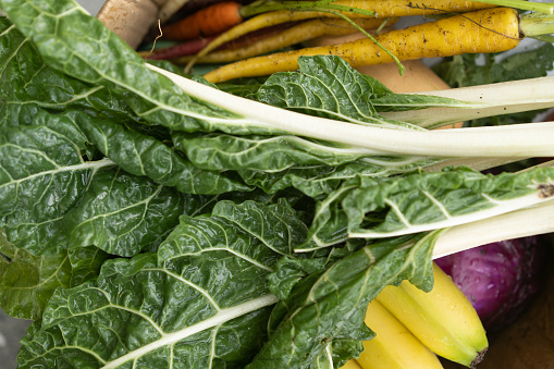 Close portrait of vegan vegetables.