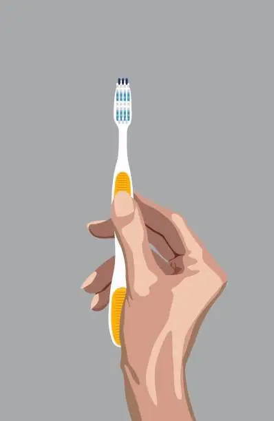 Vector illustration of Female hand holding toothbrush isolated on empty background