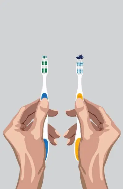 Vector illustration of Female hands holding two toothbrushes a new one and old one