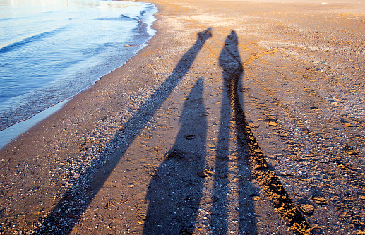 Shadows of family on the sand on the beach at sunset, outdoors