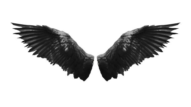 istock Angel wings isolated on white background 1474977272