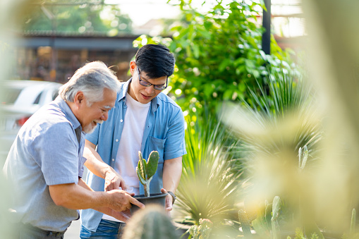 Asian elderly man father and adult son choosing and buying plant together at plant shop street market on summer vacation. Family relationship, fathers day and senior people mental health care concept.