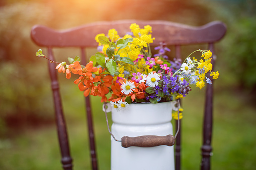 a bouquet of spring, field flowers in a rustic atmosphere in a milk jug on an old chair in the garden in the sunshine, rural atmosphere