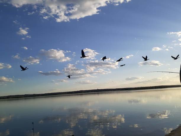 istock Fishing in the sky 1474979805