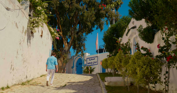 The Palace of Erlanger, Centre des Musiques Arabes et Mediterraneennes, Sidi Bou Said, Tunisia 