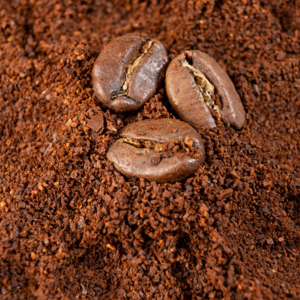 istock Three coffee beans lie on ground coffee close-up. 1474984355