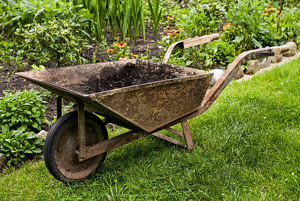 istock old wheelbarrow in gadren 147498654