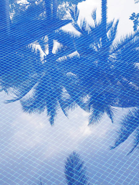 istock Reflection of coconut trees in swimming pool 1474986540