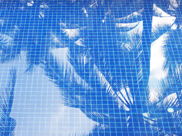 istock Reflection of coconut trees in swimming pool 1474986572