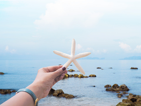 Selfie hand holding starfish toy shape over summer beach background. Happy holiday concept.
