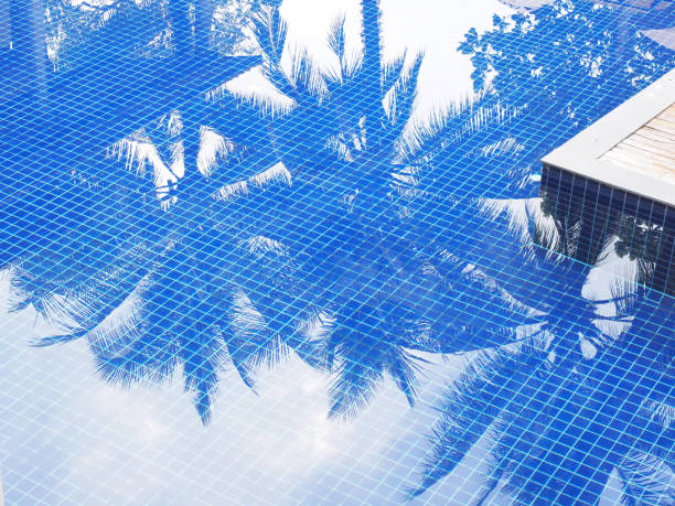 istock Reflection of coconut trees in swimming pool 1474986586