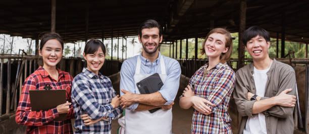 istock Group of multiracial Agriculture meeting teaching technic for cow feeder. 1474987756
