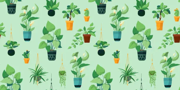 Vector illustration of Green pattern with indoor plants. Houseplants in pots, kokedama, hanging plants.