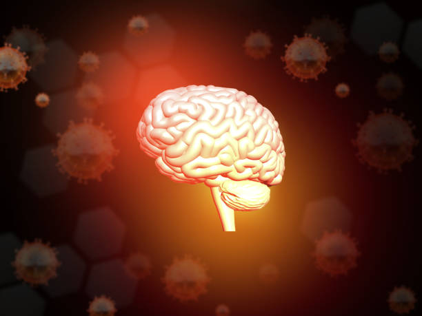 istock Human brain anatomy on scientific background 1474990258