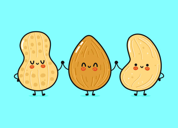 istock Cute, funny happy almonds, peanuts and cashews nut. Vector hand drawn cartoon kawaii characters, illustration icon. Funny happy cartoon almond, peanut and cashew nut mascot friends concept 1474990295