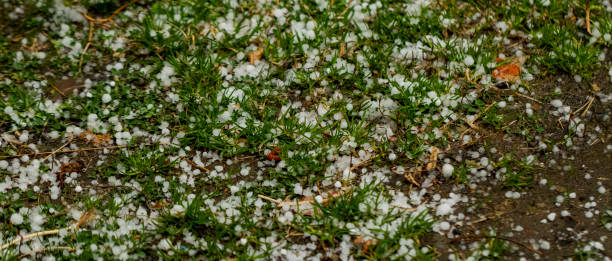 istock Hail stones gathered after a thunderstorm 1474996072