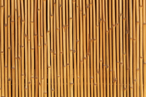 Wood Bamboo Mat Texture Background. Beautiful bamboo mat, can be used as background