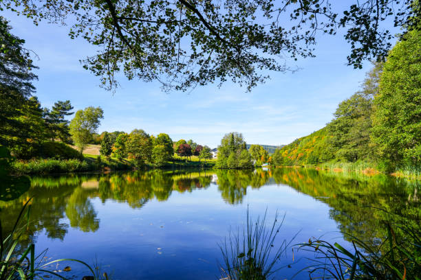 Green nature at a pond near Willingen. View of the lake with the surrounding landscape in the Sauerland. stock photo