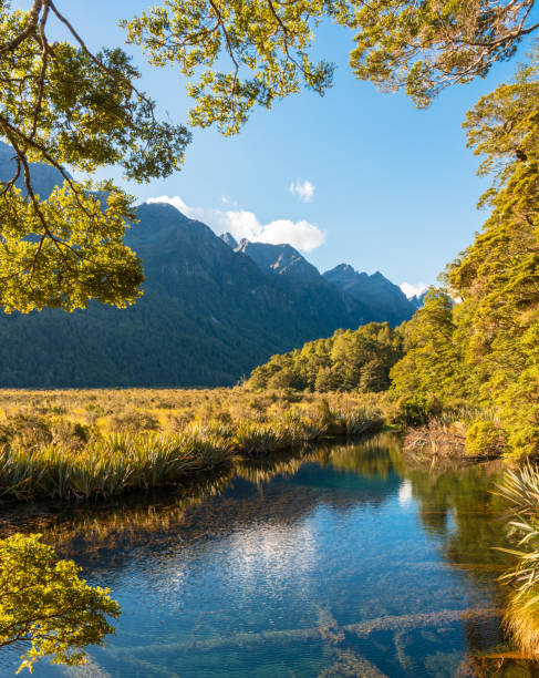 ニュージーランドのミラー湖の美しい景色。 - te anau ストックフォトと画像