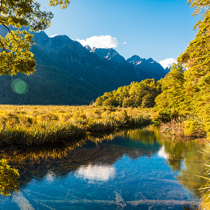 Mirror Lake: tranquil alpine water reflecting stunning views of New Zealand's Milford Sound.
